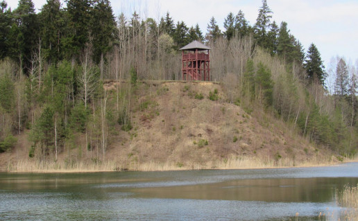 42_Jogaudu bokstas ir tvenkinys. A.Brazdeikytes n.jpg